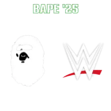 BAPE 25